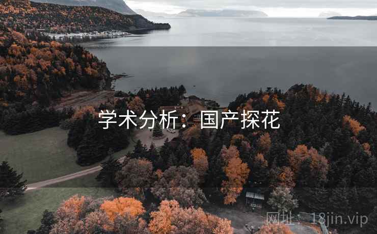 学术分析:国产探花
