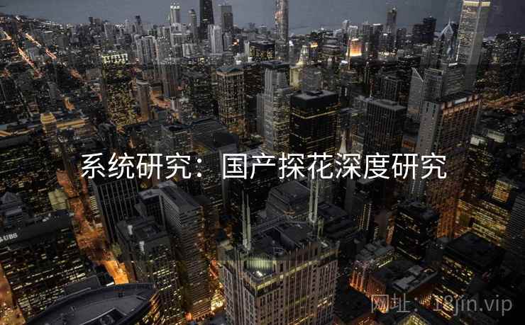 系统研究：国产探花深度研究