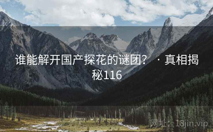 谁能解开国产探花的谜团? · 真相揭秘116