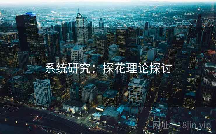 系统研究:探花理论探讨