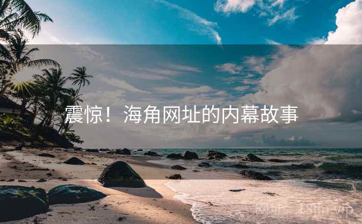 震惊!海角网址的内幕故事