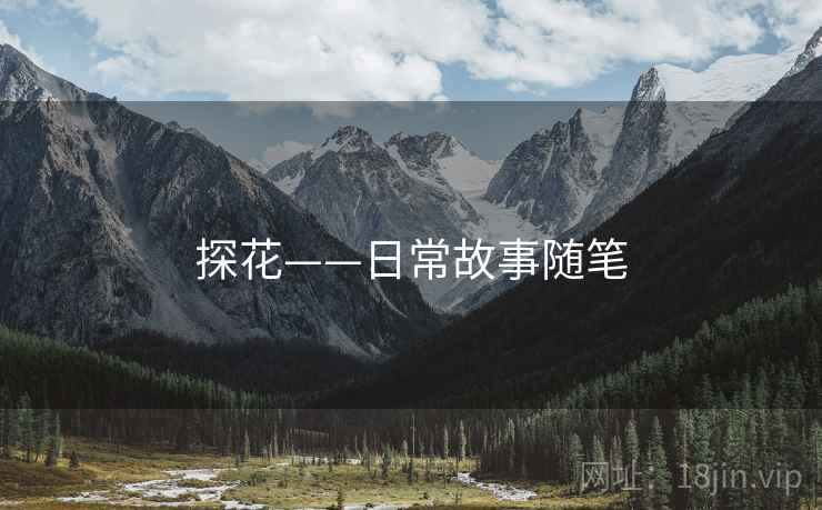 探花——日常故事随笔