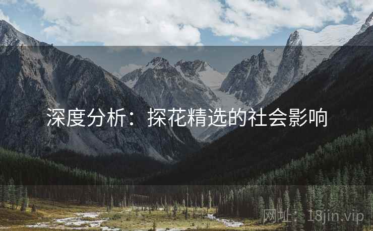 深度分析:探花精选的社会影响