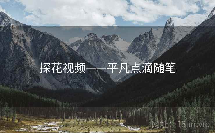 探花视频——平凡点滴随笔