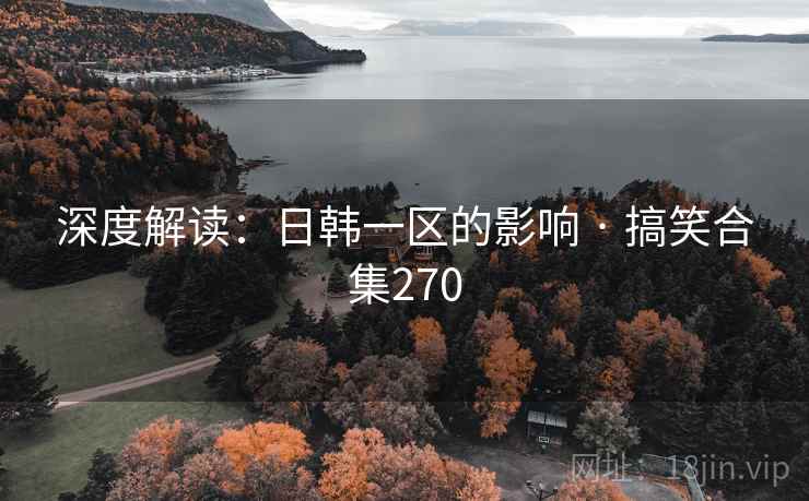 深度解读：日韩一区的影响 · 搞笑合集270
