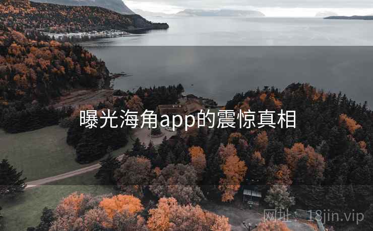 曝光海角app的震惊真相