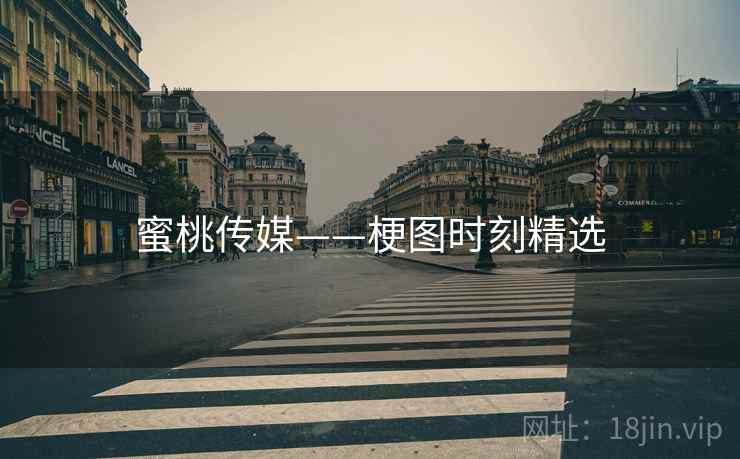 蜜桃传媒——梗图时刻精选