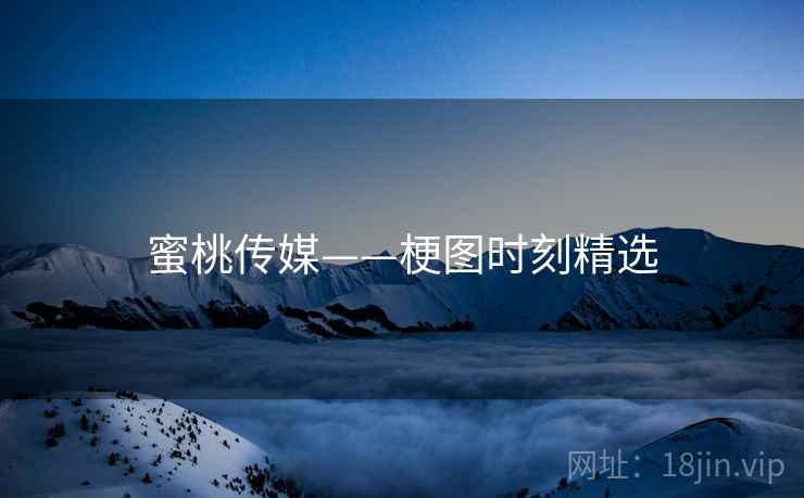 蜜桃传媒——梗图时刻精选